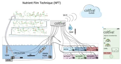 Diagram of a Nutrient Film Technique (NFT) hydroponic system: plants in a sloped channel fed by a thin film of nutrient solution, with the Coltiva control unit monitoring and dosing it.